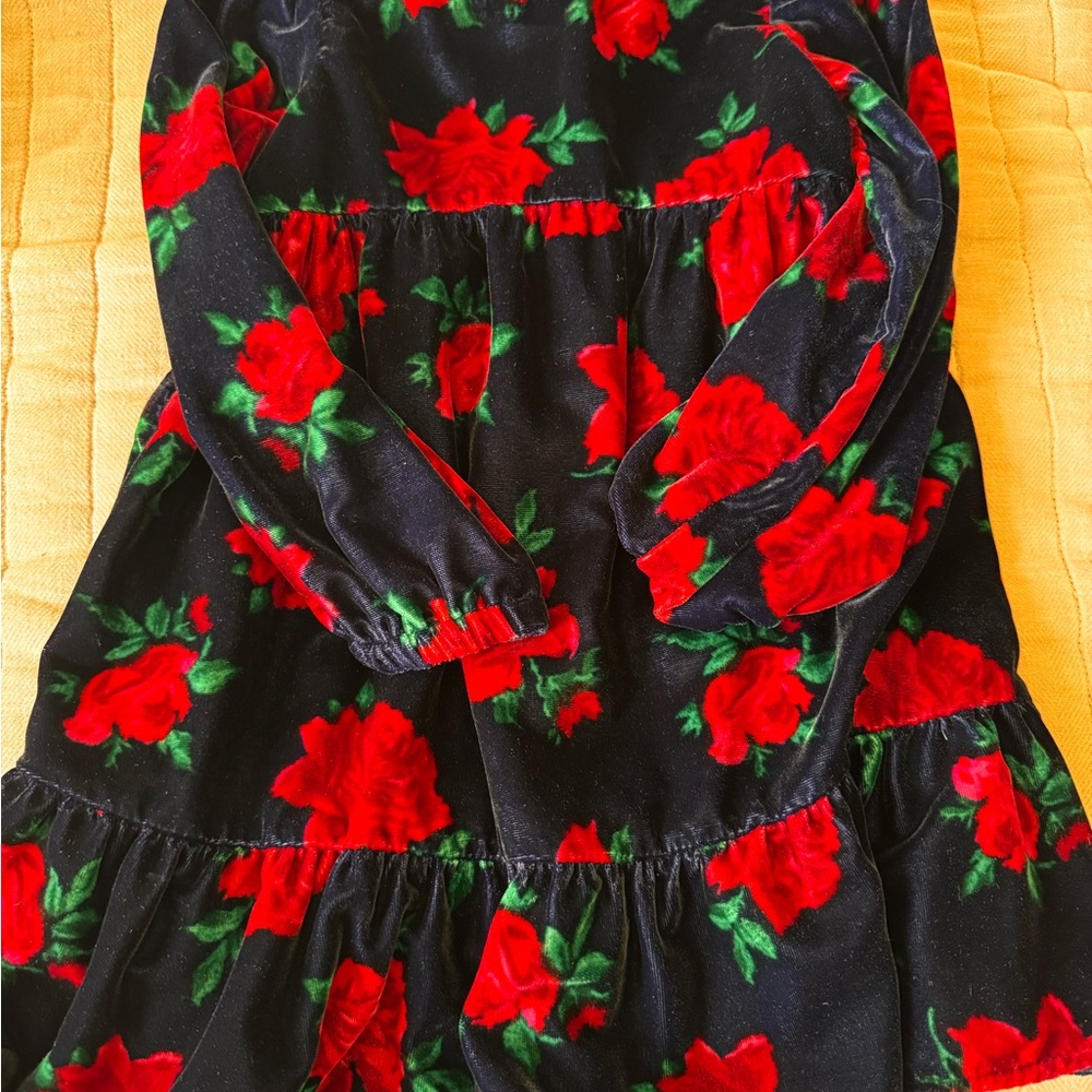 Janie and Jack Navy & Rose Floral Velvet Dress